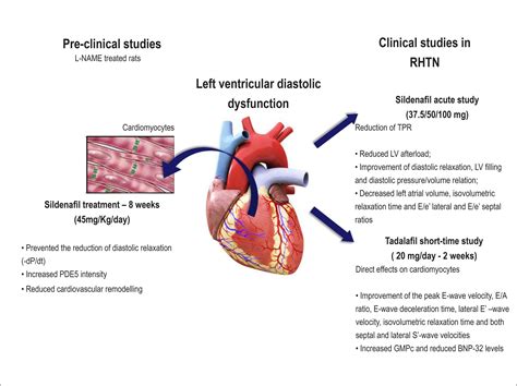 mildly reduced lv function|reduced left ventricular systolic function.